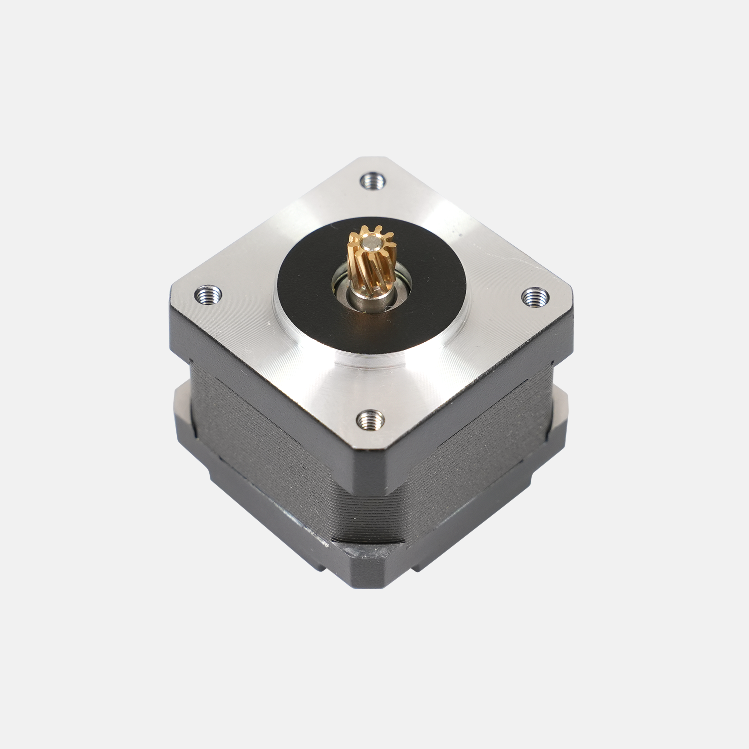 Extruder Motor - M1