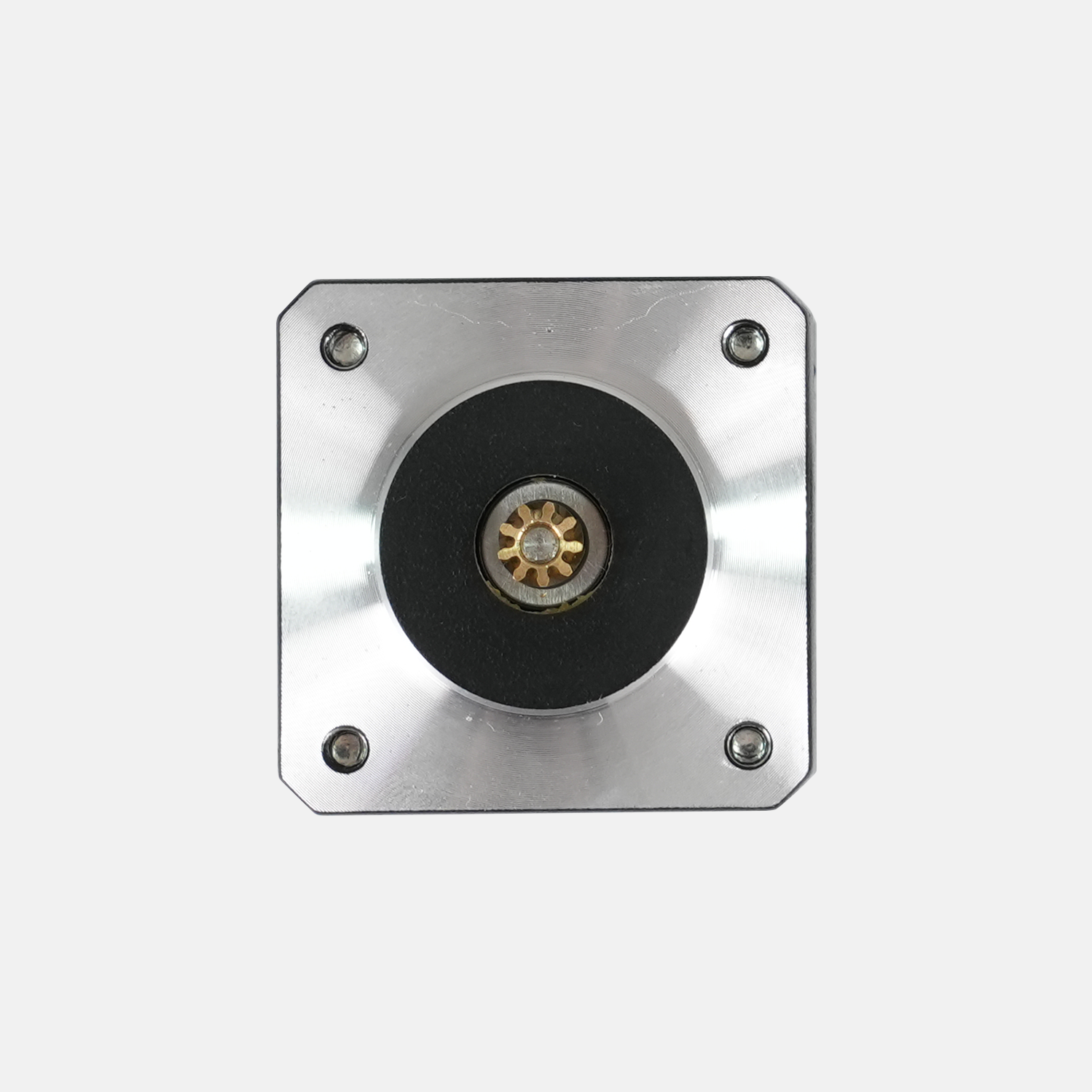 Extruder Motor - M1